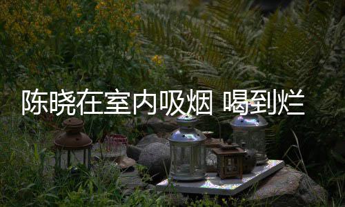 被人喝到内吸在室架走如泥烟 陈晓烂醉